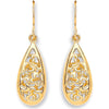 Y/G Hook Oval Drop Earrings