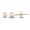 4mm premium quality cultured pearl Stud Earrings with a 9ct yellow gold post and butterfly fitting.