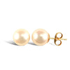 4mm premium quality cultured pearl Stud Earrings with a 9ct yellow gold post and butterfly fitting.
