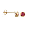 9ct Yellow Rub-over Set Ruby Stud Earrings