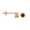 9ct Yellow Rub-over Set Ruby Stud Earrings