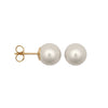 10 - 10.5mm Cultured Pearl Stud Earrings - 9ct Yellow Fittings