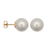 12 - 13mm South Sea Pearl Stud Earrings - 9ct Yellow Fittings