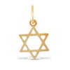Necklace - 9ct Yellow Gold Star Of David Charm - by Hearts Forever Jewellers