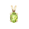 Necklace - 9ct Yellow Gold 7x5 Amethyst Pendant - by Hearts Forever Jewellers