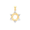 Necklace - W & Y/G Star of David Pendant - by Hearts Forever Jewellers