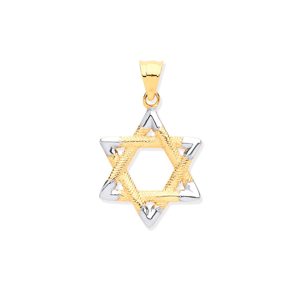 Necklace - W & Y/G Star of David Pendant - by Hearts Forever Jewellers