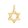 Necklace - Y/G Star of David Large Pendant - by Hearts Forever Jewellers