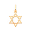 Necklace - Y/G Star of David Pendant - by Hearts Forever Jewellers