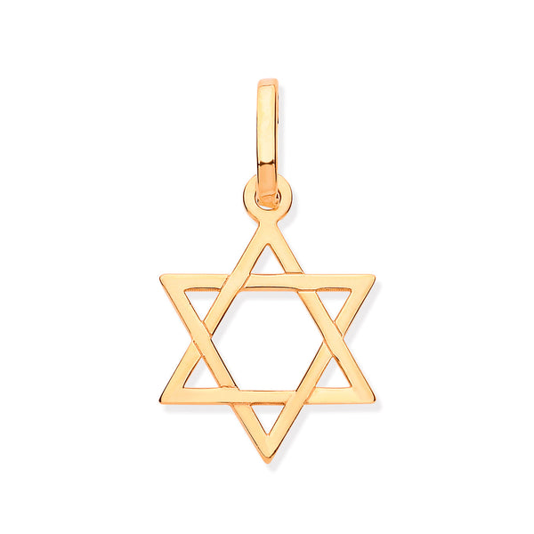 Necklace - Y/G Star of David Pendant - by Hearts Forever Jewellers