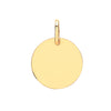Necklace - Y/G 14mm Plain Round Pendant - by Hearts Forever Jewellers