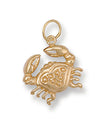 Necklace - Y/G Cancer Zodiac Pendant - by Hearts Forever Jewellers