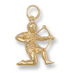 Necklace - Y/G Sagittarius Zodiac Pendant - by Hearts Forever Jewellers