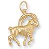 Necklace - Y/G Capricorn Zodiac Pendant - by Hearts Forever Jewellers