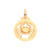 Necklace - Y/G Round Zodiac Pendant CANCER - by Hearts Forever Jewellers