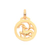 Necklace - Y/G Round Zodiac Pendant CAPRICORN - by Hearts Forever Jewellers