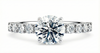 Platinum Diamond Ring - Akinia Diamond Band Engagement Ring - Botanical Pave Diamond Band in 9k, 14k, 18k Gold & Platinum - by Hearts Forever Jewellers