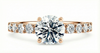 Platinum Diamond Ring - Akinia Diamond Band Engagement Ring - Botanical Pave Diamond Band in 9k, 14k, 18k Gold & Platinum - by Hearts Forever Jewellers