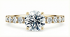 Platinum Diamond Ring - Akinia Diamond Band Engagement Ring - Botanical Pave Diamond Band in 9k, 14k, 18k Gold & Platinum - by Hearts Forever Jewellers