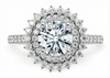 Platinum Diamond Ring - Berkeley Halo Engagement Ring - Academic Diamond Halo Ring in 9k, 14k, 18k Gold & Platinum - by Hearts Forever Jewellers