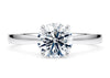 Delicacy Solitaire