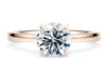 Delicacy Solitaire