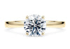 Delicacy Solitaire