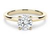 Eden Solitaire