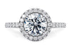Platinum Diamond Ring - Isabella Halo Engagement Ring - Regal Diamond Halo Ring in 9k, 14k, 18k Gold & Platinum - by Hearts Forever Jewellers