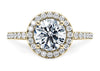 Platinum Diamond Ring - Isabella Halo Engagement Ring - Regal Diamond Halo Ring in 9k, 14k, 18k Gold & Platinum - by Hearts Forever Jewellers