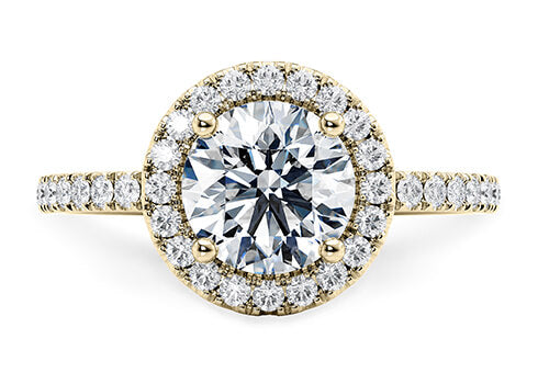 Platinum Diamond Ring - Isabella Halo Engagement Ring - Regal Diamond Halo Ring in 9k, 14k, 18k Gold & Platinum - by Hearts Forever Jewellers