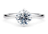 Starlight Compass Solitaire
